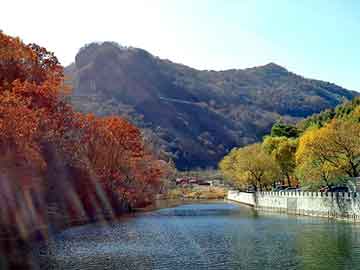 新澳天天开奖资料大全旅游团，大蒜筛选机